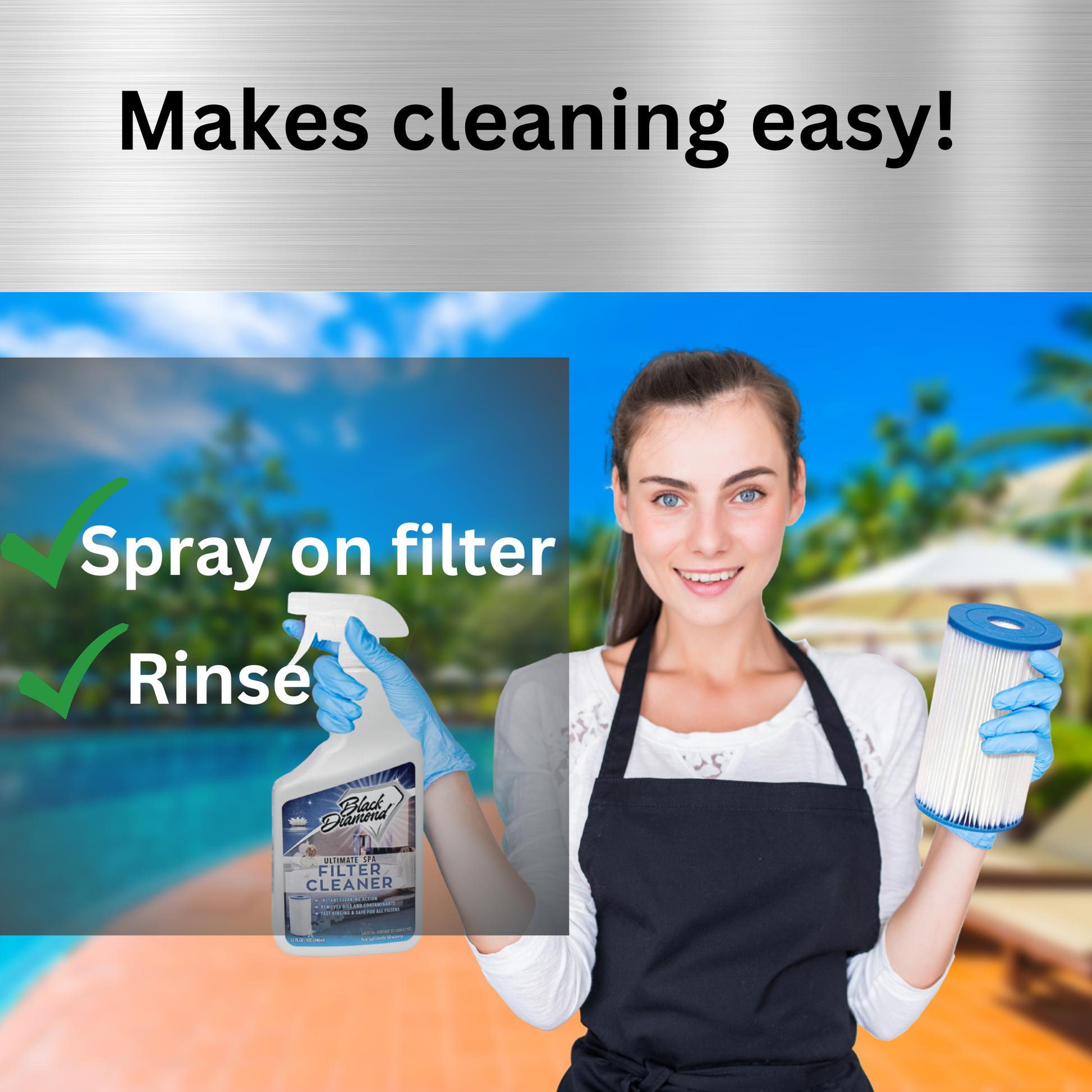 pool and Spa Filter Cleaner 